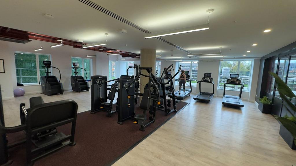 Gymnasium