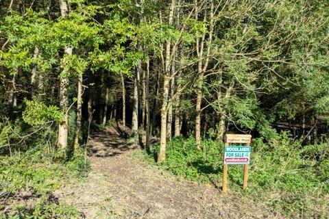 undefined, Hearson Wood, Landkey, near Barnstaple, Devon EX32