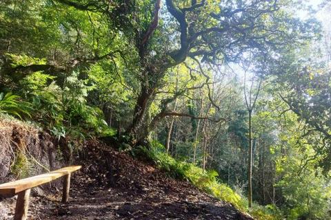 undefined, Hearson Wood, Landkey, near Barnstaple, Devon EX32