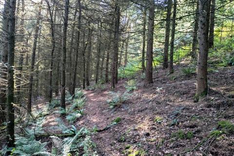 undefined, Hearson Wood, Landkey, near Barnstaple, Devon EX32