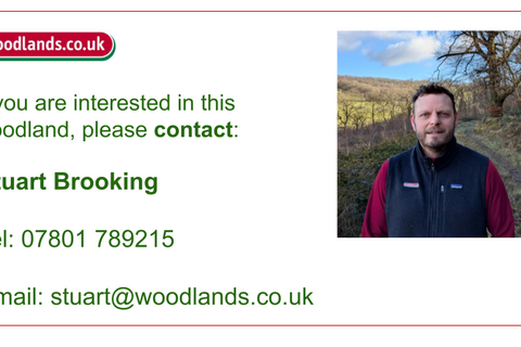 undefined, Hearson Wood, Landkey, near Barnstaple, Devon EX32