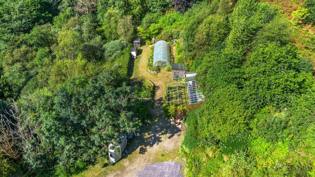 Back Garden