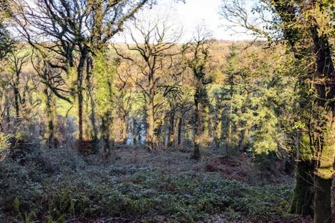 undefined, Fiddlecott Wood, Chawleigh, Chulmleigh, Devon EX18