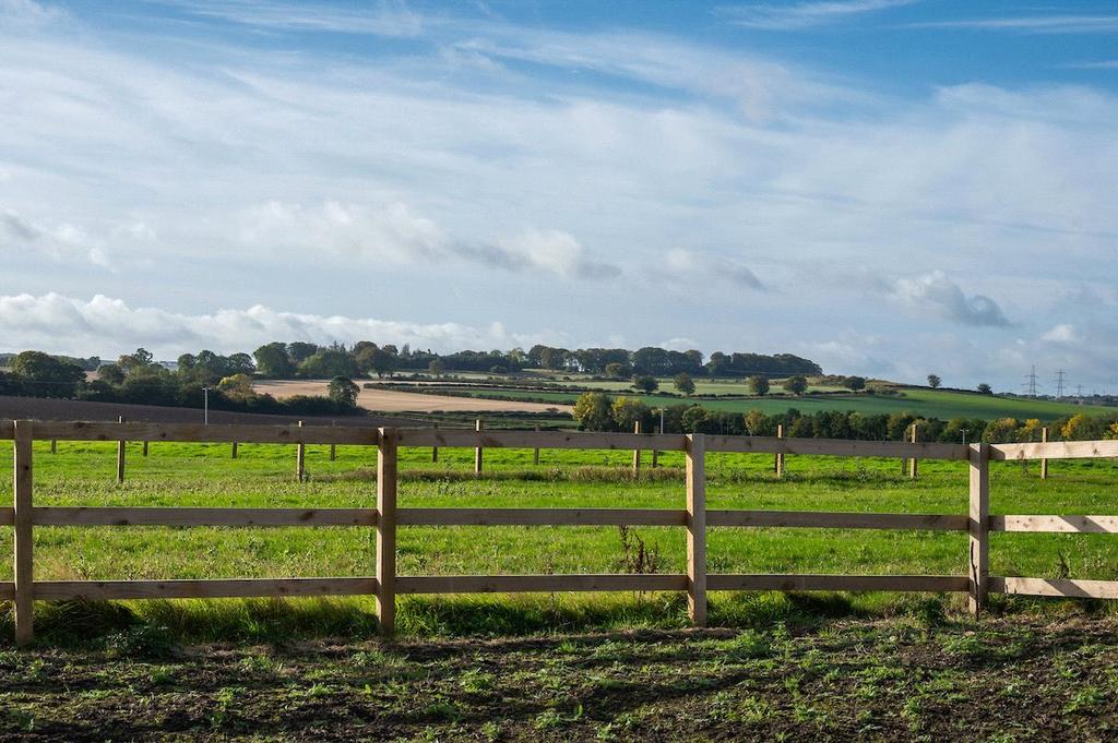 Paddock Available