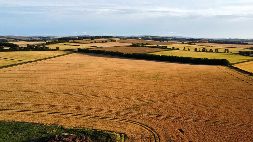 Aerial Landscape