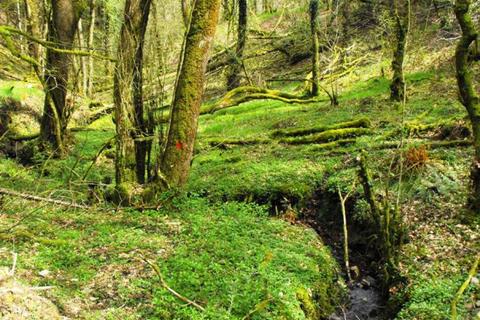 undefined, Russell Wood, Chittlehamholt, Near Barnstaple, Devon EX37
