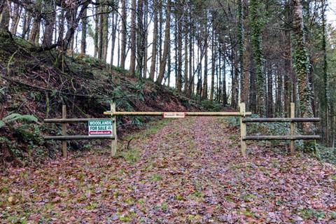 undefined, Russell Wood, Chittlehamholt, Near Barnstaple, Devon EX37