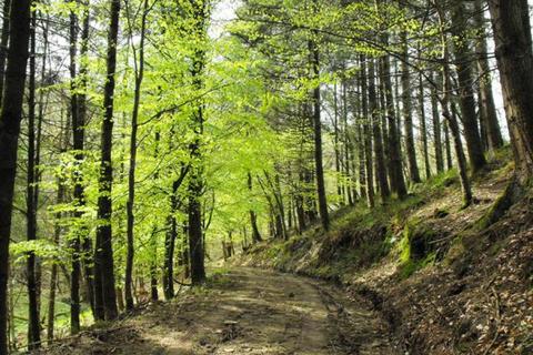 undefined, Russell Wood, Chittlehamholt, Near Barnstaple, Devon EX37