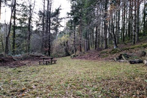 undefined, Russell Wood, Chittlehamholt, Near Barnstaple, Devon EX37