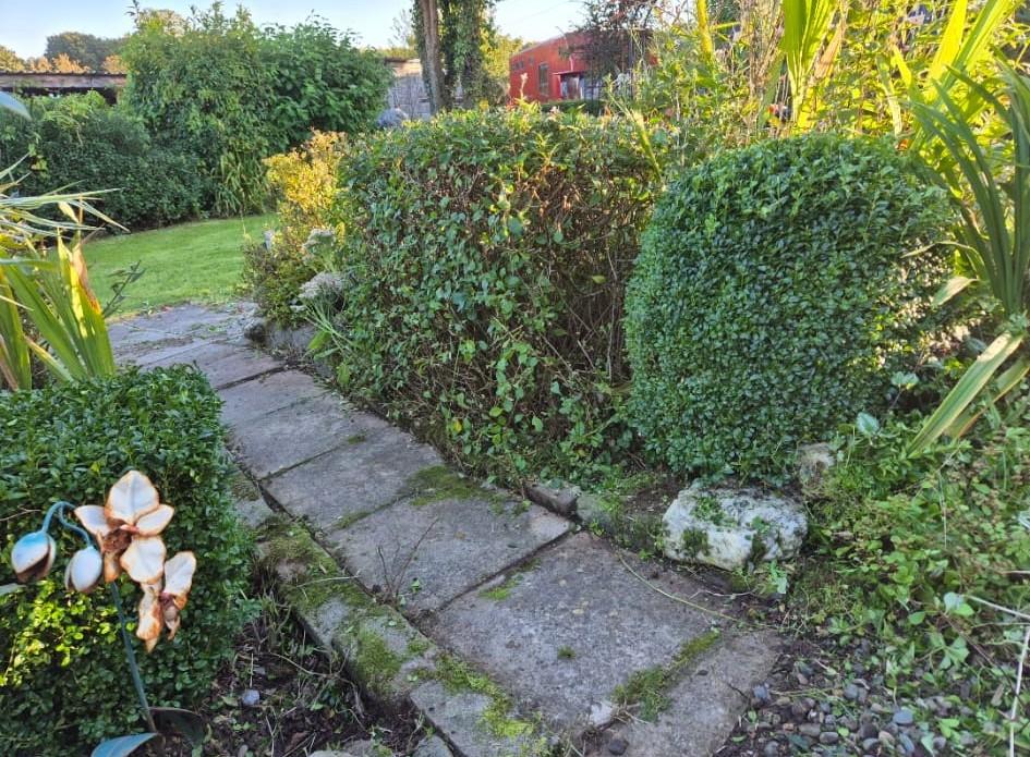 Garden Area