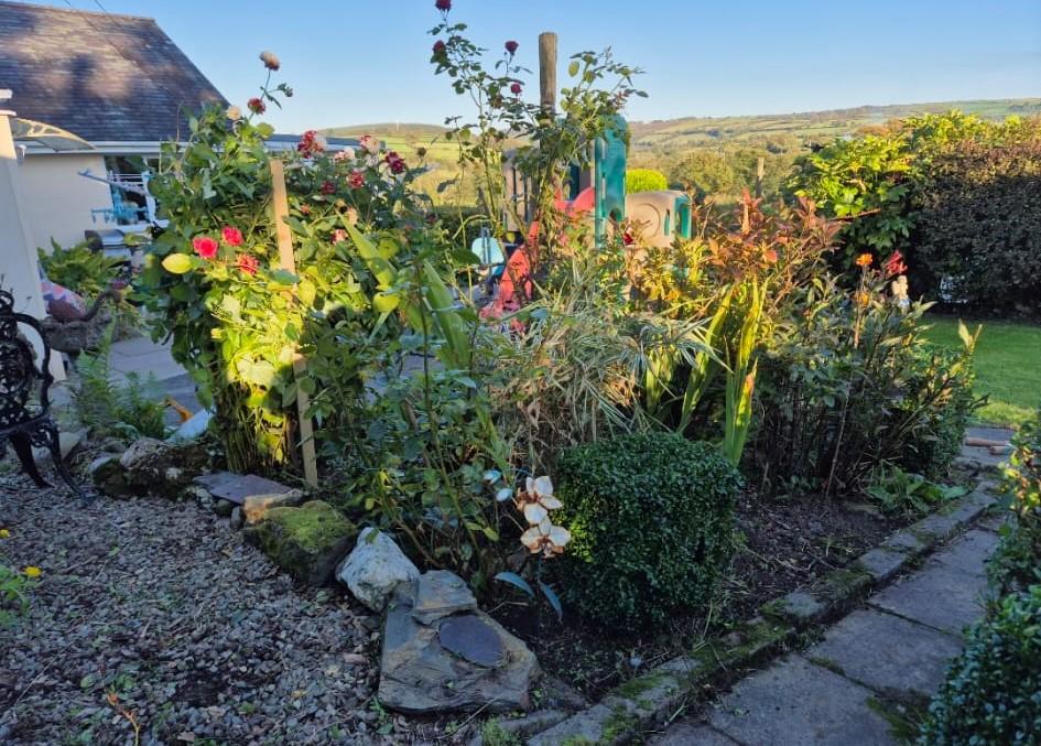 Garden Area