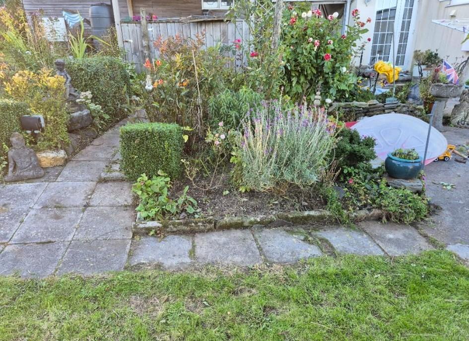 Garden Area