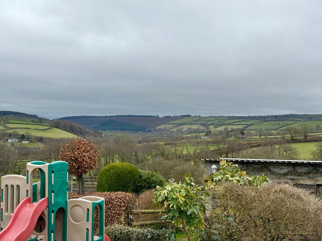 Garden Area