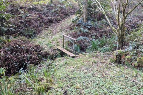 undefined, Courtenay Wood, Portsmouth Arms, Near South Molton, Devon EX18