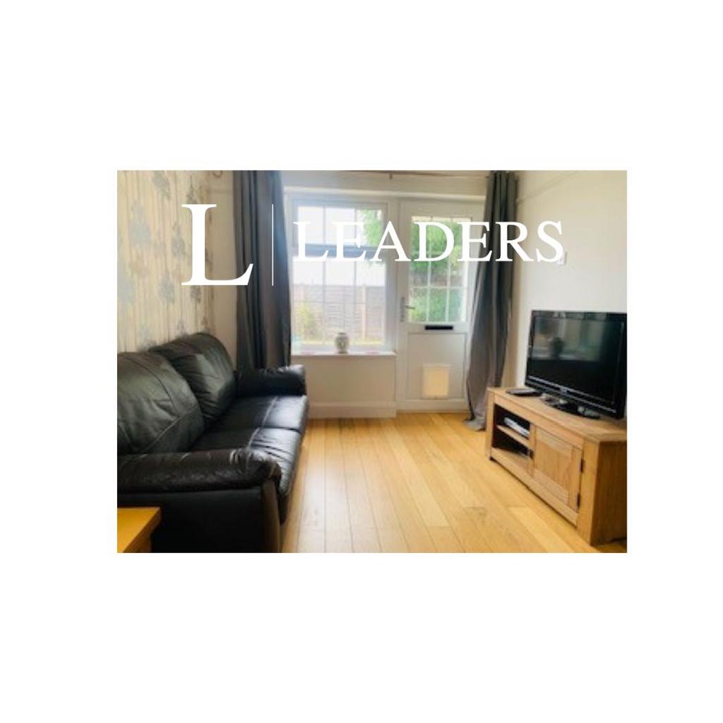 Lounge- Coriander