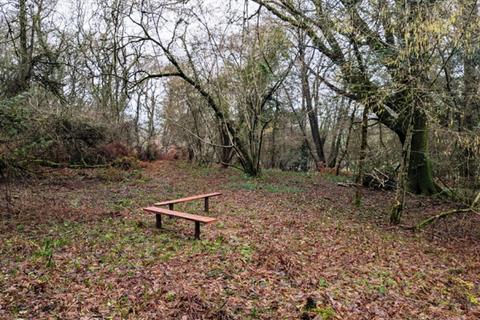 undefined, Coly Wood, Colyton, Seaton, Devon EX24
