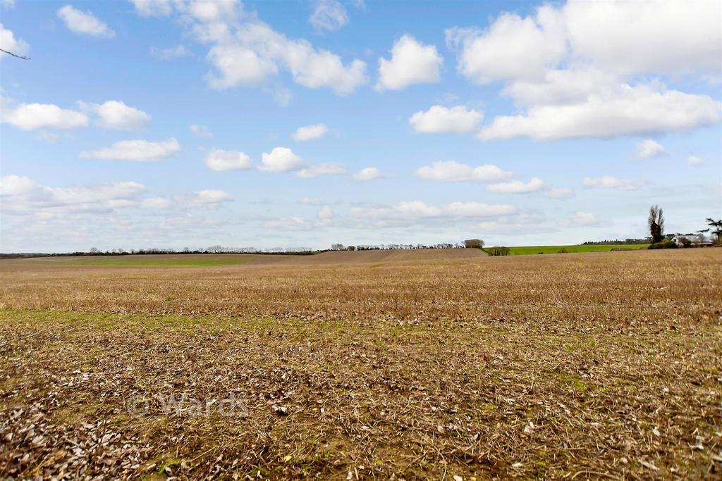 Surrounding Area