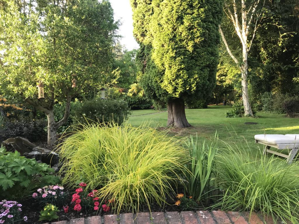 The garden in Summer view 2