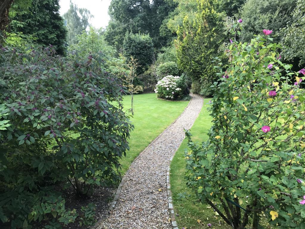 The garden in Summer