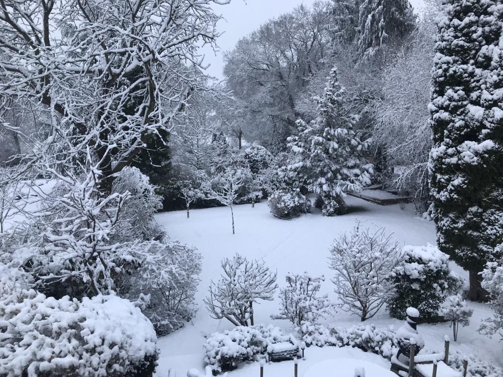 The garden in Winter