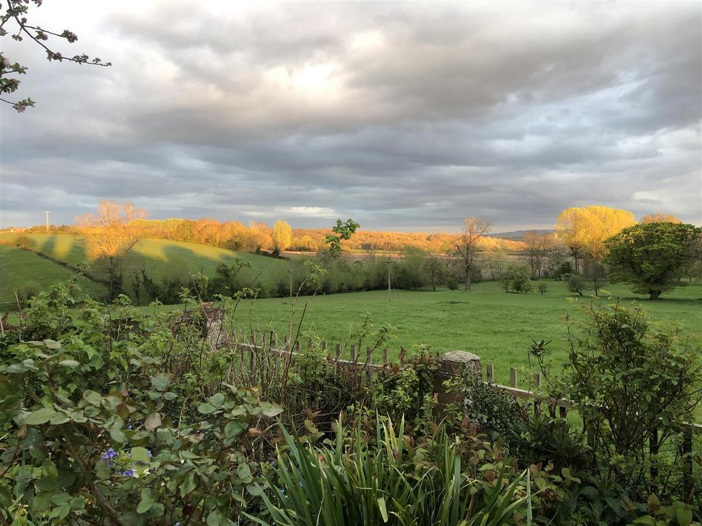 View from Rear Garden
