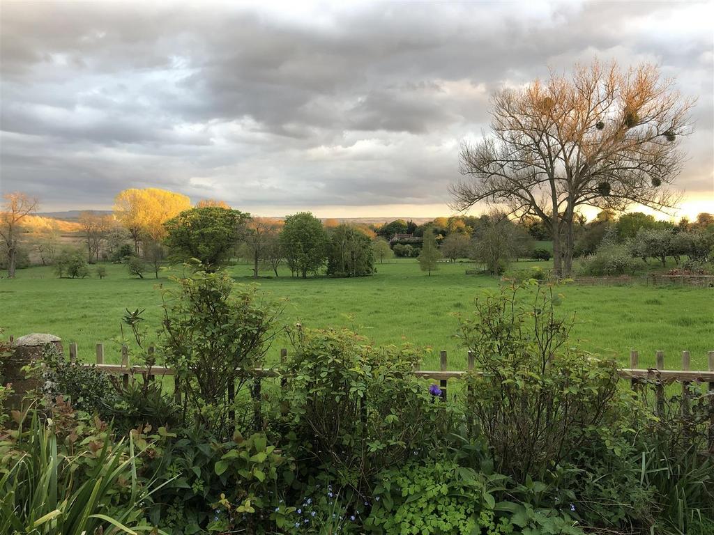 View from Rear Garden
