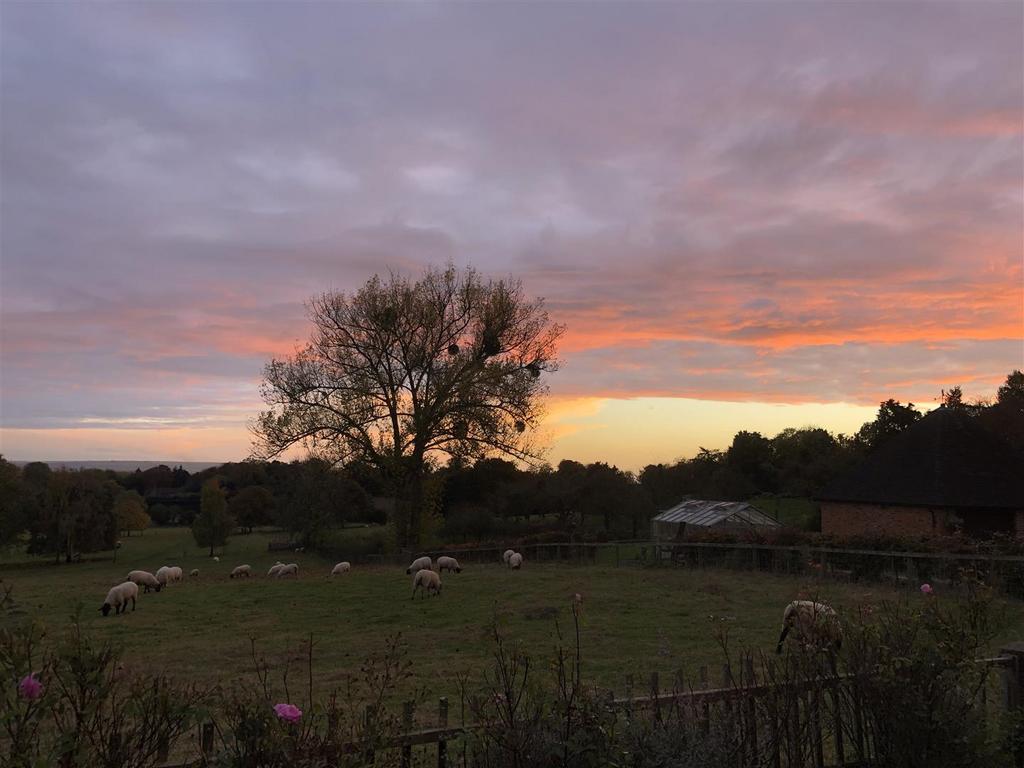Garden Sunset