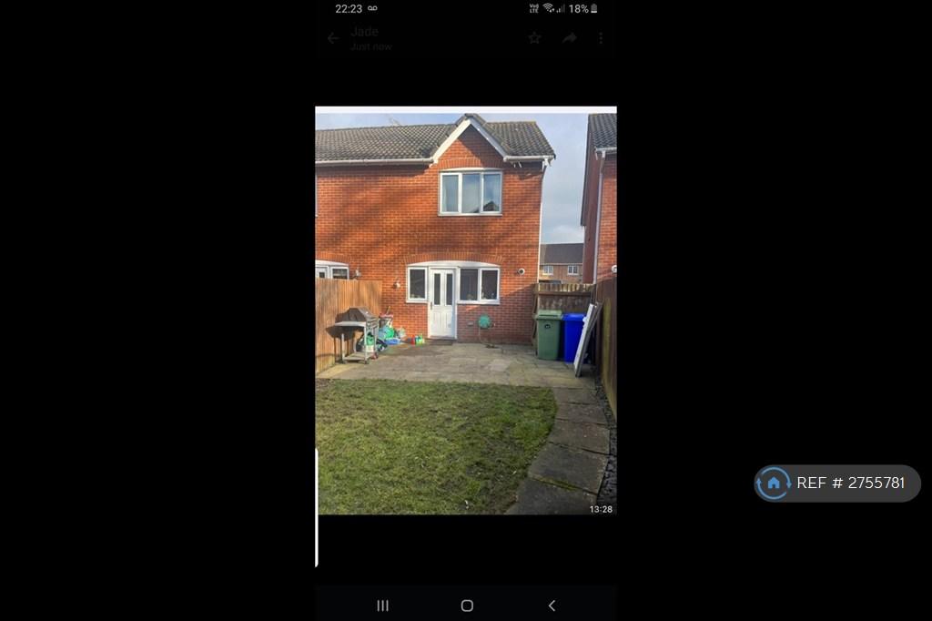 Back Garden