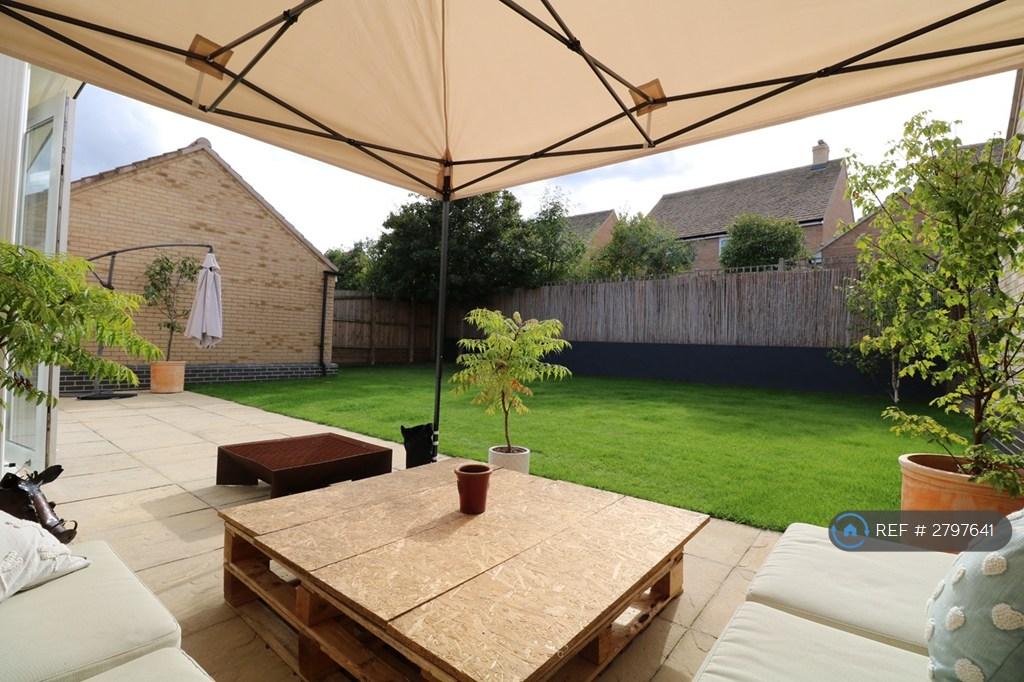 Patio - Summer