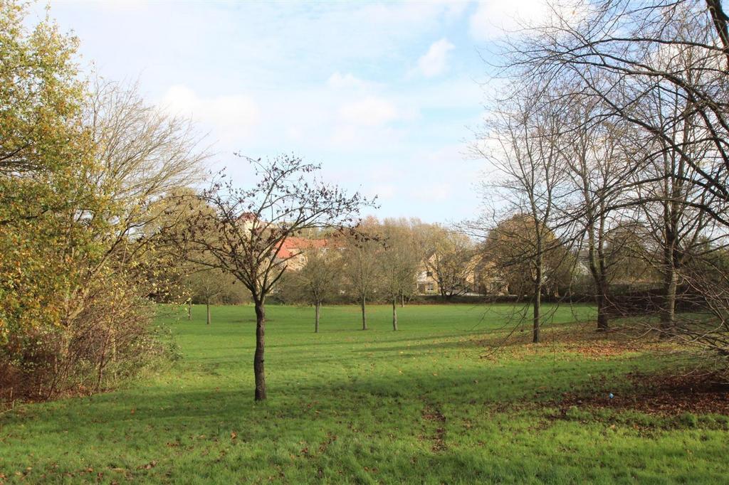 Local Park