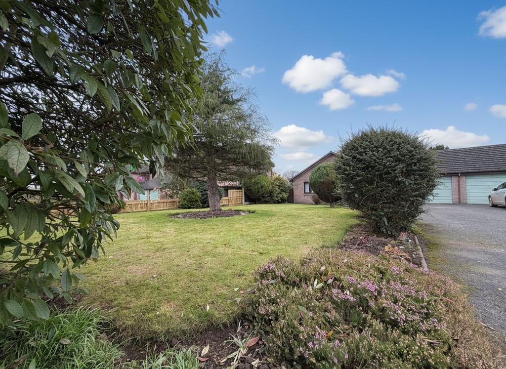 Front Garden and Drive