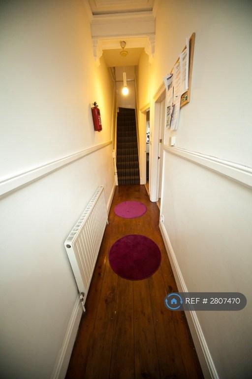 Stripped Wood Floors