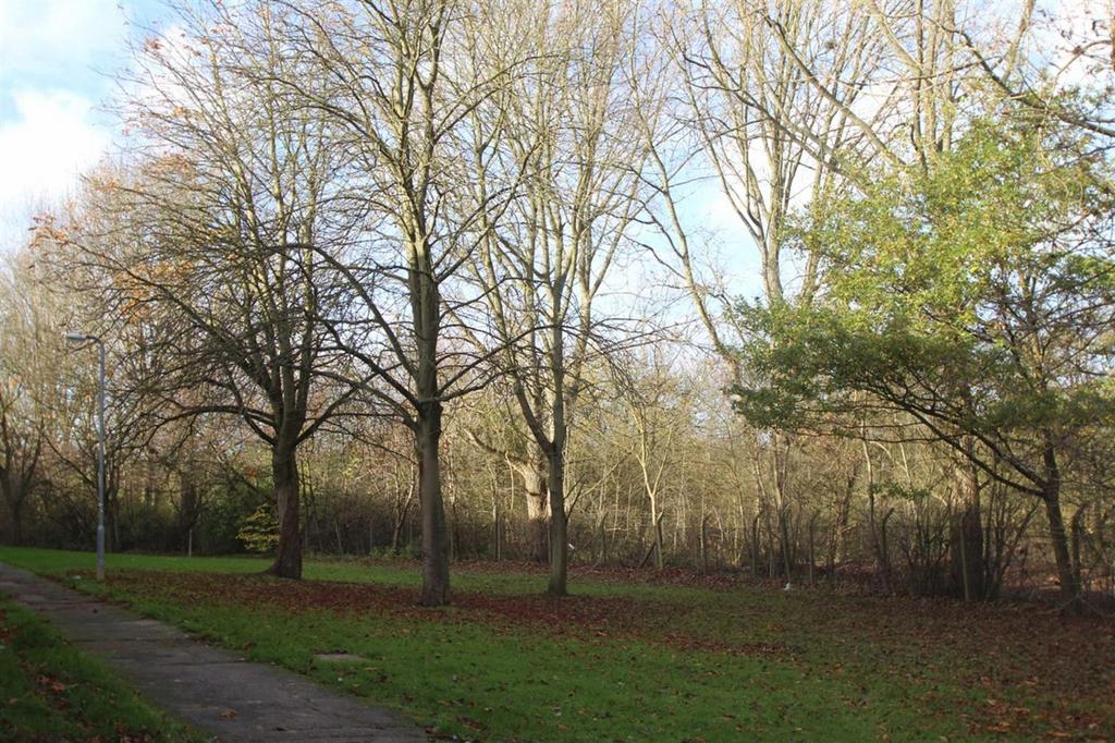 Local park