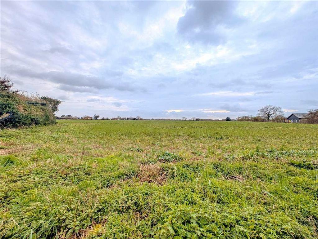 Field Behind