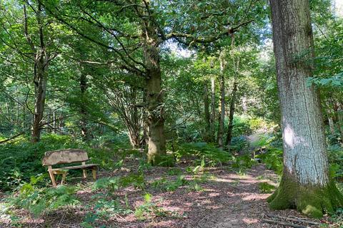 undefined, Dowel Wood, Lamberhurst, Kent TN3