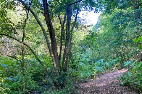 undefined, Dowel Wood, Lamberhurst, Kent TN3