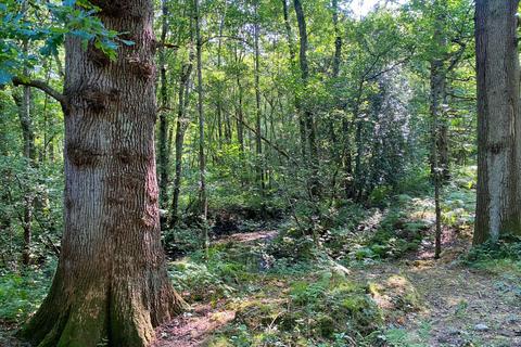 undefined, Dowel Wood, Lamberhurst, Kent TN3