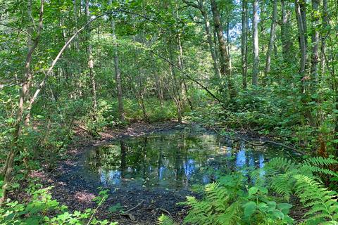 undefined, Dowel Wood, Lamberhurst, Kent TN3