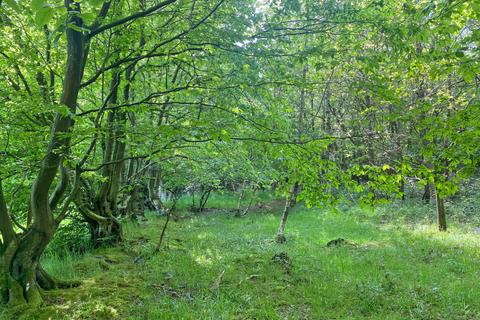 undefined, Wispy Wood , Shadoxhurst, near Ashford, Kent TN26