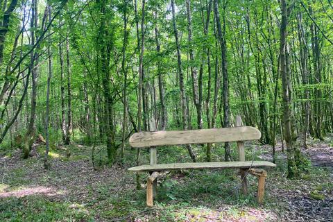 undefined, Wispy Wood , Shadoxhurst, near Ashford, Kent TN26