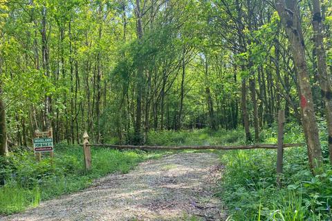 undefined, Wispy Wood , Shadoxhurst, near Ashford, Kent TN26