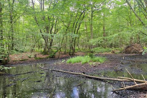 undefined, Wispy Wood , Shadoxhurst, near Ashford, Kent TN26