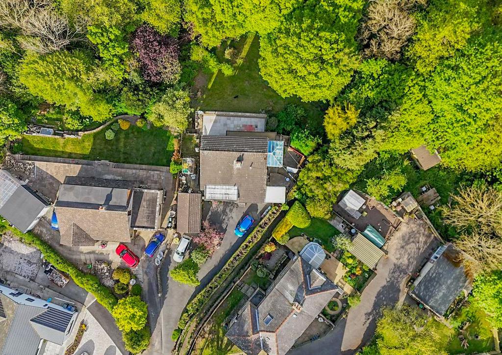 Birds Eye View