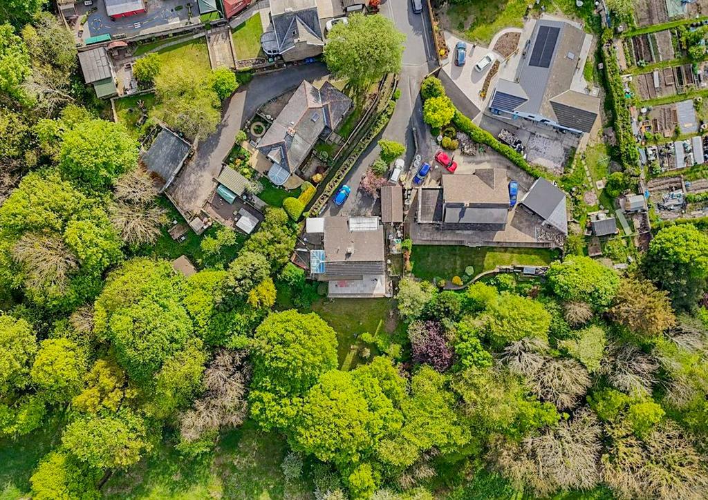 Birds Eye View