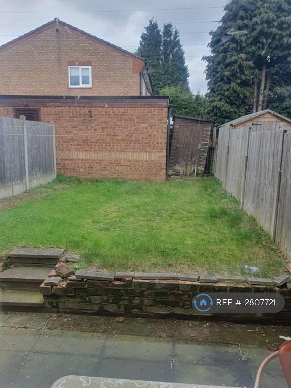 Back Garden