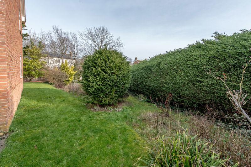Side Garden