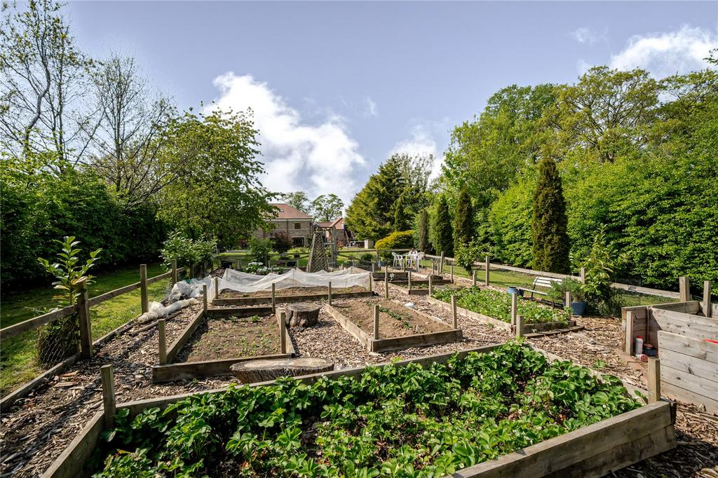 Raised Beds