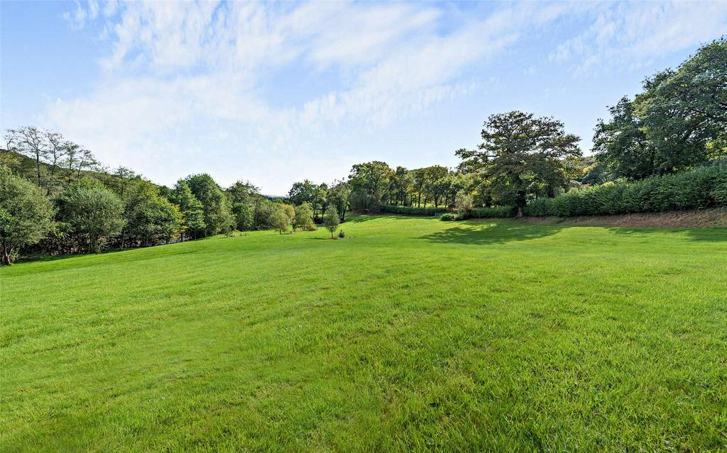 Pasture Field