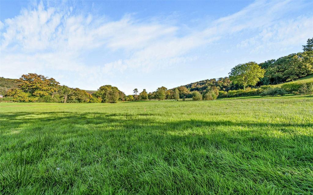 Pasture Field