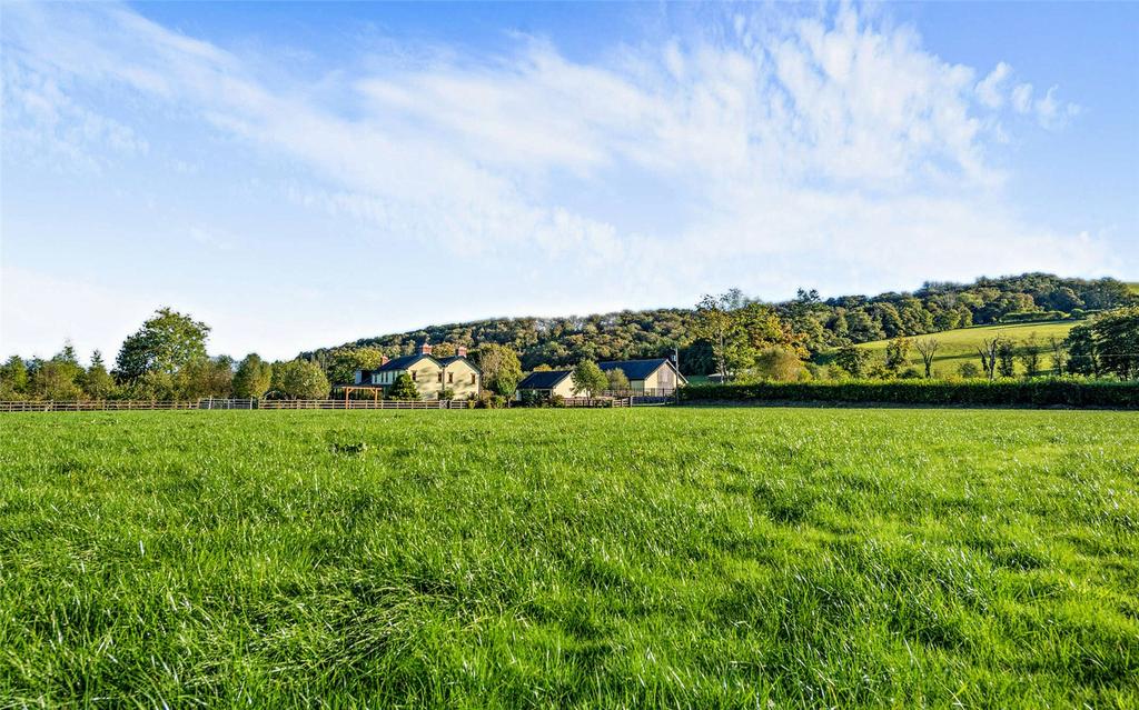Pasture Field